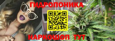 гашик Малоярославец