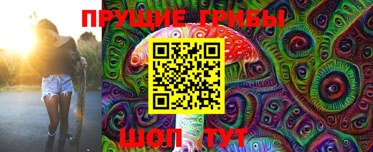Ухта  Псилоцибиновые грибы MAGIC MUSHROOMS  Вход с VPN 